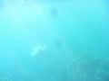 03/3085353006_03f5a3a092_m.jpg