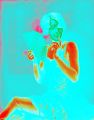 0b/4904127291_0b397b5f72_m.jpg