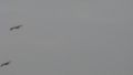 13/3878087117_137da672b2_m.jpg