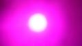 13/5077866014_1369f388c7_m.jpg