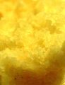 1f/518409548_1fc334caa0_m.jpg