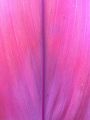 20/7666332508_20146a60af_m.jpg