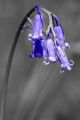 30/5757748478_30f610ace7_m.jpg