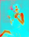 4f/4904127517_4ff31b8b24_m.jpg