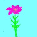 5a/8216821067_5a296edd88_m.jpg