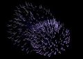 65/5915931289_65195da01a_m.jpg