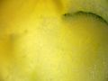 7c/724821011_7c61414188_m.jpg