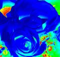 7d/2423367114_7d9b9f8bb9_m.jpg