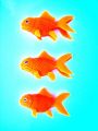 b1/446303279_b1c4965a4a_m.jpg