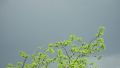 b4/3070811542_b43de19719_m.jpg