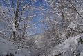 b5/2167344189_b516ed6a72_m.jpg