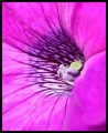 bd/26542952_bd5b03b859_m.jpg