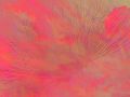 bd/2996756949_bd6157a872_m.jpg