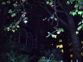 ce/285059578_cebe806a6c_m.jpg