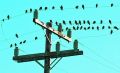 d3/100833719_d3c61d5a2b_m.jpg