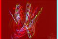d5/5857722086_d558b79e50_m.jpg