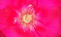 d6/493216790_d6e0e8e0d3_m.jpg