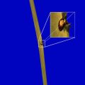 d8/4275549545_d80aeff17a_m.jpg