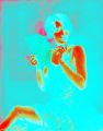 dc/4904127383_dc66f1134f_m.jpg