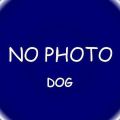 dd/5795248030_ddf99e421f_m.jpg