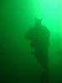 e6/2891869155_e60fefb7f5_m.jpg