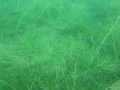 ef/3805145329_ef360ae7f2_m.jpg