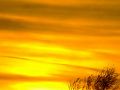 f0/5595838207_f0870208b4_m.jpg
