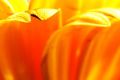 f4/110680351_f4dcd14647_m.jpg