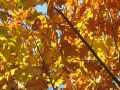 fc/2984039586_fcc7940a66_m.jpg