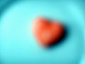 ff/3061227410_ff28c9ccdc_m.jpg