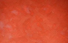 Poppy Color: Hex Code, Palettes & Meaning