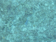 Cadet blue Color: Hex Code, Palettes & Meaning