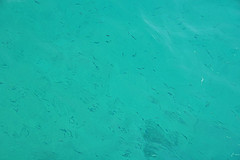 Light sea green Color: Hex Code, Palettes & Meaning