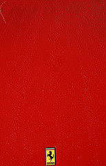 Chili red Color: Hex Code, Palettes & Meaning