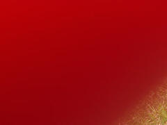 Dark red Color: Hex Code, Palettes & Meaning