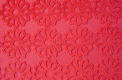 Cardinal red Color: Hex Code, Palettes & Meaning