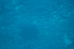 Cerulean Color: Hex Code, Palettes & Meaning