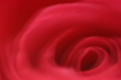 Ruby red Color: Hex Code, Palettes & Meaning