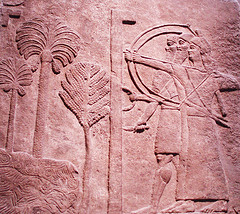 Dusty rose Color: Hex Code, Palettes & Meaning