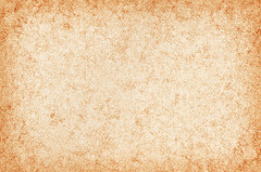 Peach Color: Hex Code, Palettes & Meaning