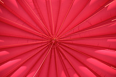 Cardinal red Color: Hex Code, Palettes & Meaning