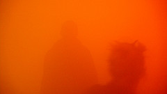 Persimmon Color: Hex Code, Palettes & Meaning