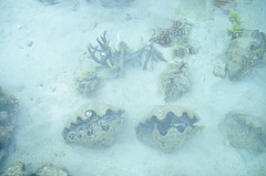 Powder blue Color: Hex Code, Palettes & Meaning