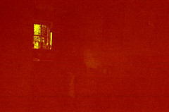 Dark red Color: Hex Code, Palettes & Meaning