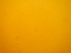 Tangerine Color: Hex Code, Palettes & Meaning