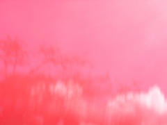 Flamingo pink Color: Hex Code, Palettes & Meaning