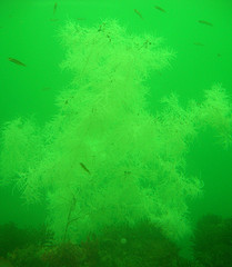 Malachite Color: Hex Code, Palettes & Meaning