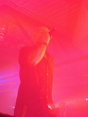 Amaranth Color: Hex Code, Palettes & Meaning