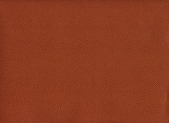 Python Sienna Colour Sienna Color: Hex Code, Palettes & Meaning