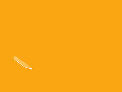 Tangerine Color: Hex Code, Palettes & Meaning